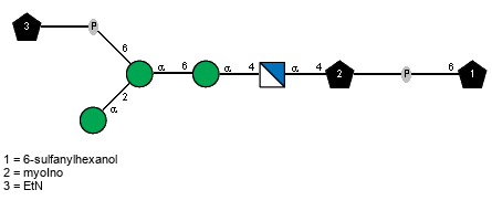 aDManp(1-2)[xXEtN(1-P-6)]aDManp(1-6)aDManp(1-4)aDGlcpN(1-4)xXmyoIno(3-P-6)Subst // Subst = 6-sulfanylhexanol = SMILES O{6}CCCCCCS