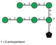 aDManp(1-2)aDManp(1-2)aDManp(1-3)[aDManp(1-2)aDManp(1-2)aDManp(1-6),Subst(1-1)]bDManp // Subst = 5-aminopentanol= SMILES NCCCC{1}CO