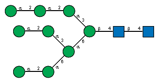 aDManp(1-2)aDManp(1-2)aDManp(1-3)[aDManp(1-2)aDManp(1-3)[aDManp(1-2)aDManp(1-6)]aDManp(1-6)]bDManp(1-4)[Ac(1-2)]bDGlcpN(1-4)[Ac(1-2)]?DGlcpN