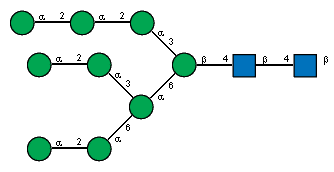 aDManp(1-2)aDManp(1-2)aDManp(1-3)[aDManp(1-2)aDManp(1-3)[aDManp(1-2)aDManp(1-6)]aDManp(1-6)]bDManp(1-4)[Ac(1-2)]bDGlcpN(1-4)[Ac(1-2)]bDGlcpN