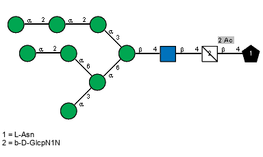 aDManp(1-2)aDManp(1-2)aDManp(1-3)[aDManp(1-3)[aDManp(1-2)aDManp(1-6)]aDManp(1-6)]bDManp(1-4)[Ac(1-2)]bDGlcpN(1-4)[Ac(1-2)]bDGlcpN1N(1-4)xLAsn