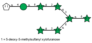 aDSugf(1-4)aDManp(1-5)bDAraf(1-2)aDAraf(1-3)[bDAraf(1-2)aDAraf(1-5)]aDAraf(1-5)?DAraf // Sug = 5-deoxy-5-methylsulfanyl xylofuranose = SMILES CSC[C@H]1O{1}[C@H](O)[C@H](O)[C@H]1O