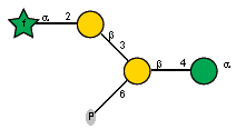 aLAraf(1-2)bDGalp(1-3)[P-6)]bDGalp(1-4)aDManp