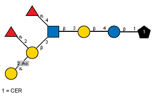 aLFucp(1-2)[Ac(1-2)aDGalp(1-3)]bDGalp(1-3)[aLFucp(1-4),Ac(1-2)]bDGlcpN(1-3)bDGalp(1-4)bDGlcp(1-1)CER