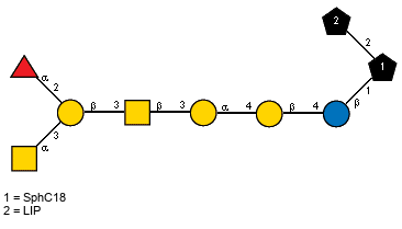 aLFucp(1-2)[Ac(1-2)aDGalpN(1-3)]bDGalp(1-3)[Ac(1-2)]bDGalpN(1-3)aDGalp(1-4)bDGalp(1-4)bDGlcp(1-1)[LIP(1-2)]xXSphC18