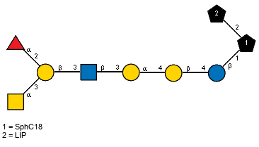aLFucp(1-2)[Ac(1-2)aDGalpN(1-3)]bDGalp(1-3)[Ac(1-2)]bDGlcpN(1-3)aDGalp(1-4)bDGalp(1-4)bDGlcp(1-1)[LIP(1-2)]xXSphC18