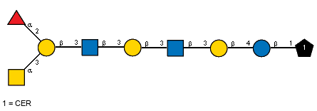 aLFucp(1-2)[Ac(1-2)aDGalpN(1-3)]bDGalp(1-3)[Ac(1-2)]bDGlcpN(1-3)bDGalp(1-3)[Ac(1-2)]bDGlcpN(1-3)bDGalp(1-4)bDGlcp(1-1)CER