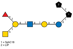 aLFucp(1-2)[Ac(1-2)aDGalpN(1-3)]bDGalp(1-3)[Ac(1-2)]bDGlcpN(1-3)bDGalp(1-4)bDGlcp(1-1)[LIP(1-2)]xXSphC18