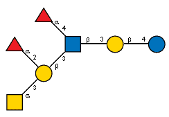 aLFucp(1-2)[Ac(1-2)aDGalpN(1-3)]bDGalp(1-3)[aLFucp(1-4),Ac(1-2)]bDGlcpN(1-3)bDGalp(1-4)?DGlcp