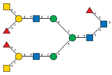 aLFucp(1-2)[Ac(1-2)aDGalpN(1-3)]bDGalp(1-4)[Ac(1-2)]bDGlcpN(1-2)aDManp(1-3)[aLFucp(1-2)[Ac(1-2)aDGalpN(1-3)]bDGalp(1-4)[Ac(1-2)]bDGlcpN(1-2)aDManp(1-6)]bDManp(1-4)[Ac(1-2)]bDGlcpN(1-4)[aLFucp(1-6),Ac(1-2)]bDGlcpN