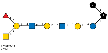 aLFucp(1-2)[Ac(1-2)aDGalpN(1-3)]bDGalp(1-4)[Ac(1-2)]bDGlcpN(1-3)bDGalp(1-4)[Ac(1-2)]bDGlcpN(1-3)bDGalp(1-4)bDGlcp(1-1)[LIP(1-2)]xXSphC18