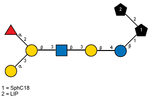 aLFucp(1-2)[aDGalp(1-3)]bDGalp(1-3)[Ac(1-2)]bDGlcpN(1-3)bDGalp(1-4)bDGlcp(1-1)[LIP(1-2)]xXSphC18
