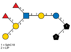 aLFucp(1-2)[aDGalp(1-3)]bDGalp(1-3)[aLFucp(1-4),Ac(1-2)]bDGlcpN(1-3)bDGalp(1-4)bDGlcp(1-1)[LIP(1-2)]xXSphC18