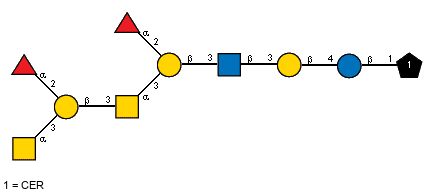 aLFucp(1-2)[aLFucp(1-2)[Ac(1-2)aDGalpN(1-3)]bDGalp(1-3)[Ac(1-2)]aDGalpN(1-3)]bDGalp(1-3)[Ac(1-2)]bDGlcpN(1-3)bDGalp(1-4)bDGlcp(1-1)CER