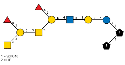 aLFucp(1-2)[aLFucp(1-2)[Ac(1-2)aDGalpN(1-3)]bDGalp(1-3)[Ac(1-2)]aDGalpN(1-3)]bDGalp(1-4)[Ac(1-2)]bDGlcpN(1-3)bDGalp(1-4)bDGlcp(1-1)[LIP(1-2)]xXSphC18