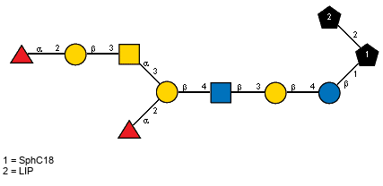 aLFucp(1-2)[aLFucp(1-2)bDGalp(1-3)[Ac(1-2)]aDGalpN(1-3)]bDGalp(1-4)[Ac(1-2)]bDGlcpN(1-3)bDGalp(1-4)bDGlcp(1-1)[LIP(1-2)]xXSphC18