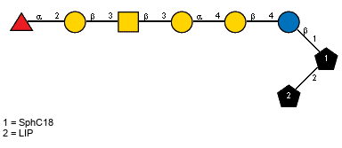aLFucp(1-2)bDGalp(1-3)[Ac(1-2)]bDGalpN(1-3)aDGalp(1-4)bDGalp(1-4)bDGlcp(1-1)[LIP(1-2)]xXSphC18