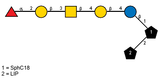 aLFucp(1-2)bDGalp(1-3)[Ac(1-2)]bDGalpN(1-4)bDGalp(1-4)bDGlcp(1-1)[LIP(1-2)]xXSphC18