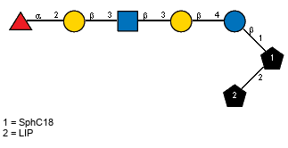 aLFucp(1-2)bDGalp(1-3)[Ac(1-2)]bDGlcpN(1-3)bDGalp(1-4)bDGlcp(1-1)[LIP(1-2)]xXSphC18