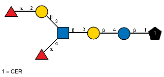 aLFucp(1-2)bDGalp(1-3)[aLFucp(1-4),Ac(1-2)]bDGlcpN(1-3)bDGalp(1-4)bDGlcp(1-1)CER