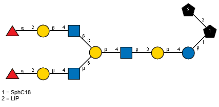 aLFucp(1-2)bDGalp(1-4)[Ac(1-2)]bDGlcpN(1-3)[aLFucp(1-2)bDGalp(1-4)[Ac(1-2)]bDGlcpN(1-6)]bDGalp(1-4)[Ac(1-2)]bDGlcpN(1-3)bDGalp(1-4)bDGlcp(1-1)[LIP(1-2)]xXSphC18