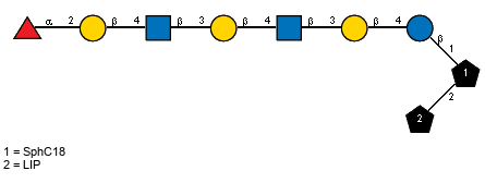 aLFucp(1-2)bDGalp(1-4)[Ac(1-2)]bDGlcpN(1-3)bDGalp(1-4)[Ac(1-2)]bDGlcpN(1-3)bDGalp(1-4)bDGlcp(1-1)[LIP(1-2)]xXSphC18