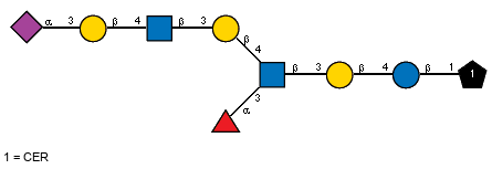 aLFucp(1-3)[Ac(1-5)aXNeup(2-3)bDGalp(1-4)[Ac(1-2)]bDGlcpN(1-3)bDGalp(1-4),Ac(1-2)]bDGlcpN(1-3)bDGalp(1-4)bDGlcp(1-1)CER