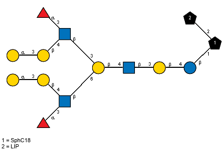 aLFucp(1-3)[aDGalp(1-3)bDGalp(1-4),Ac(1-2)]bDGlcpN(1-3)[aLFucp(1-3)[aDGalp(1-3)bDGalp(1-4),Ac(1-2)]bDGlcpN(1-6)]bDGalp(1-4)[Ac(1-2)]bDGlcpN(1-3)bDGalp(1-4)bDGlcp(1-1)[LIP(1-2)]xXSphC18