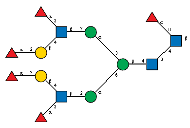 aLFucp(1-3)[aLFucp(1-2)bDGalp(1-4),Ac(1-2)]bDGlcpN(1-2)aDManp(1-3)[aLFucp(1-3)[aLFucp(1-2)bDGalp(1-4),Ac(1-2)]bDGlcpN(1-2)aDManp(1-6)]bDManp(1-4)[Ac(1-2)]bDGlcpN(1-4)[aLFucp(1-6),Ac(1-2)]bDGlcpN