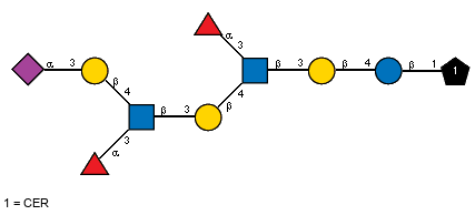 aLFucp(1-3)[aLFucp(1-3)[Ac(1-5)aXNeup(2-3)bDGalp(1-4),Ac(1-2)]bDGlcpN(1-3)bDGalp(1-4),Ac(1-2)]bDGlcpN(1-3)bDGalp(1-4)bDGlcp(1-1)CER