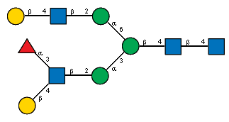 aLFucp(1-3)[bDGalp(1-4),Ac(1-2)]bDGlcpN(1-2)aDManp(1-3)[bDGalp(1-4)[Ac(1-2)]bDGlcpN(1-2)aDManp(1-6)]bDManp(1-4)[Ac(1-2)]bDGlcpN(1-4)[Ac(1-2)]?DGlcpN