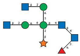 aLFucp(1-3)[bDXylp(1-2)[Ac(1-2)bDGlcpN(1-2)aDManp(1-6),Ac(1-2)bDGlcpN(1-2)aDManp(1-3)]bDManp(1-4)[Ac(1-2)]bDGlcpN(1-4),Ac(1-2)]?DGlcpN