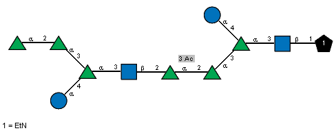 aLRhap(1-2)aLRhap(1-3)[aDGlcp(1-4)]aLRhap(1-3)[Ac(1-2)]bDGlcpN(1-2)[Ac(1-3)]aLRhap(1-2)aLRhap(1-3)[aDGlcp(1-4)]aLRhap(1-3)[Ac(1-2)]bDGlcpN(1-1)xXEtN