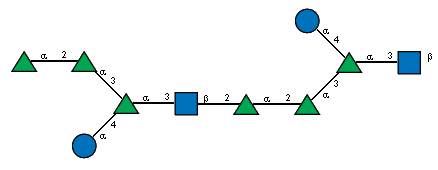 aLRhap(1-2)aLRhap(1-3)[aDGlcp(1-4)]aLRhap(1-3)[Ac(1-2)]bDGlcpN(1-2)aLRhap(1-2)aLRhap(1-3)[aDGlcp(1-4)]aLRhap(1-3)[Ac(1-2)]bDGlcpN