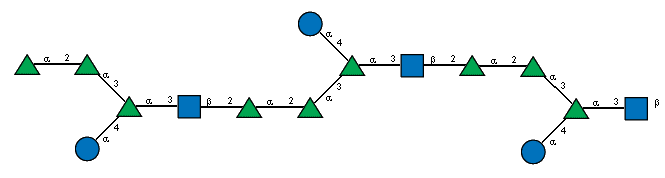 aLRhap(1-2)aLRhap(1-3)[aDGlcp(1-4)]aLRhap(1-3)[Ac(1-2)]bDGlcpN(1-2)aLRhap(1-2)aLRhap(1-3)[aDGlcp(1-4)]aLRhap(1-3)[Ac(1-2)]bDGlcpN(1-2)aLRhap(1-2)aLRhap(1-3)[aDGlcp(1-4)]aLRhap(1-3)[Ac(1-2)]bDGlcpN