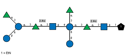 aLRhap(1-3)[bDGlcp(1-6),aLRhap(1-3)[bDGlcp(1-6)]aDGlcp(1-3)[Ac(1-2)]aLRhap(1-3)[Ac(1-2)]bDGlcpN(1-4)]aDGlcp(1-3)[Ac(1-2)]aLRhap(1-3)[Ac(1-2)]bDGlcpN(1-1)xXEtN