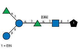 aLRhap(1-3)[bDGlcp(1-6)]aDGlcp(1-3)[Ac(1-2)]aLRhap(1-3)[Ac(1-2)]bDGlcpN(1-1)xXEtN