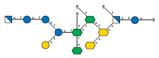 aXKdop(2-4)[aDGlcpN(1-2)aDGlcp(1-2)aDGlcp(1-3)[aDGalp(1-6)]aDGlcp(1-3)[aXLDmanHepp(1-7),P-4)]aXLDmanHepp(1-3)[P-4)]aXLDmanHepp(1-5)]aXKdop(2-6)[P-4)]bDGlcpN(1-6)aDGlcp(1-P