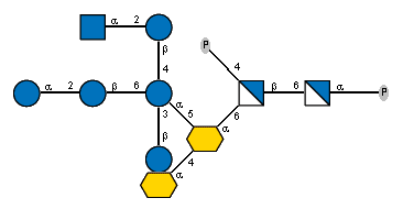 aXKdop(2-4)[bDGlcp(1-3)[aDGlcp(1-2)bDGlcp(1-6),Ac(1-2)aDGlcpN(1-2)bDGlcp(1-4)]aDGlcp(1-5)]aXKdop(2-6)[P-4)]bDGlcpN(1-6)aDGlcpN(1-P