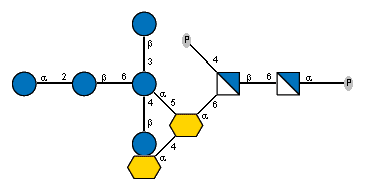 aXKdop(2-4)[bDGlcp(1-3)[aDGlcp(1-2)bDGlcp(1-6),bDGlcp(1-4)]aDGlcp(1-5)]aXKdop(2-6)[P-4)]bDGlcpN(1-6)aDGlcpN(1-P