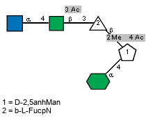 aXLDmanHepp(1-4)[Ac(1-2)aDGlcpN(1-4)[Ac(1-3),Ac(1-2)]bDManpN(1-3)[Ac(1-4),Me(1-2)]bLFucpN(1-6)]?D2,5anhMan