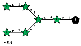 bDAraf(1-2)aDAraf(1-3)[bDAraf(1-2)aDAraf(1-5)]aDAraf(1-5)aDAraf(1-1)xXEtN