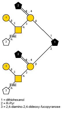 bDGalf(1-3)[Ac(1-2)aDSugp(1-4),Ac(1-2)]aDGalpN(1-3)[xRPyr(2-6:2-4)]bDGalp(1-1)[bDGalf(1-3)[Ac(1-2)aDSug(1-4),Ac(1-2)]aDGalpN(1-3)[xRPyr(2-6:2-4)]bDGalp(1-2)]Subst1 // Subst1 = dithiohexanol = SMILES O{1}CCCCCCSSCCCCC{2}CO; Sug = 2,4-diamino-2,4-dideoxy-fucopyranose = SMILES N[C@H]1[C@@H](O)O{1}[C@H](O)[C@H]({2}N)[C@H]1O