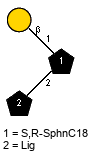 bDGalp(1-1)[lXLig(1-2)]xXSRSphnC18