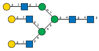 bDGalp(1-3)[Ac(1-2)]bDGlcpN(1-2)aDManp(1-3)[bDGalp(1-3)[Ac(1-2)]bDGlcpN(1-2)[bDGalp(1-3)[Ac(1-2)]bDGlcpN(1-6)]aDManp(1-6)]bDManp(1-4)[Ac(1-2)]bDGlcpN(1-4)[Ac(1-2)]bDGlcpN
