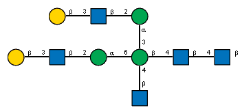 bDGalp(1-3)[Ac(1-2)]bDGlcpN(1-2)aDManp(1-3)[bDGalp(1-3)[Ac(1-2)]bDGlcpN(1-2)aDManp(1-6),Ac(1-2)bDGlcpN(1-4)]bDManp(1-4)[Ac(1-2)]bDGlcpN(1-4)[Ac(1-2)]bDGlcpN