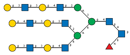 bDGalp(1-3)[Ac(1-2)]bDGlcpN(1-3)bDGalp(1-4)[Ac(1-2)]bDGlcpN(1-2)aDManp(1-3)[bDGalp(1-4)[Ac(1-2)]bDGlcpN(1-3)bDGalp(1-3)[Ac(1-2)]bDGlcpN(1-2)[bDGalp(1-3)[Ac(1-2)]bDGlcpN(1-3)bDGalp(1-4)[Ac(1-2)]bDGlcpN(1-6)]aDManp(1-6)]bDManp(1-4)[Ac(1-2)]bDGlcpN(1-4)[aLFucp(1-6),Ac(1-2)]bDGlcpN