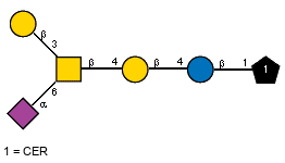 bDGalp(1-3)[Ac(1-5)aXNeup(2-6),Ac(1-2)]bDGalpN(1-4)bDGalp(1-4)bDGlcp(1-1)CER