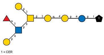 bDGalp(1-3)[aLFucp(1-3)[bDGalp(1-4),Ac(1-2)]bDGlcpN(1-6),Ac(1-2)]bDGalpN(1-3)aDGalp(1-4)bDGalp(1-4)bDGlcp(1-1)CER