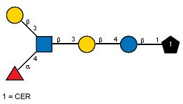 bDGalp(1-3)[aLFucp(1-4),Ac(1-2)]bDGlcpN(1-3)bDGalp(1-4)bDGlcp(1-1)CER